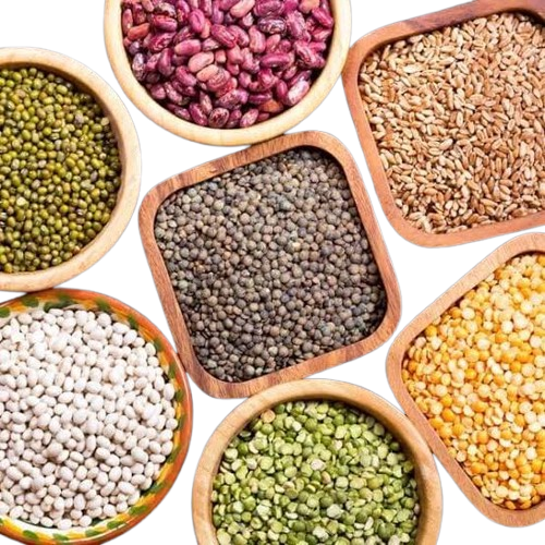 LUGUMES & PULSES