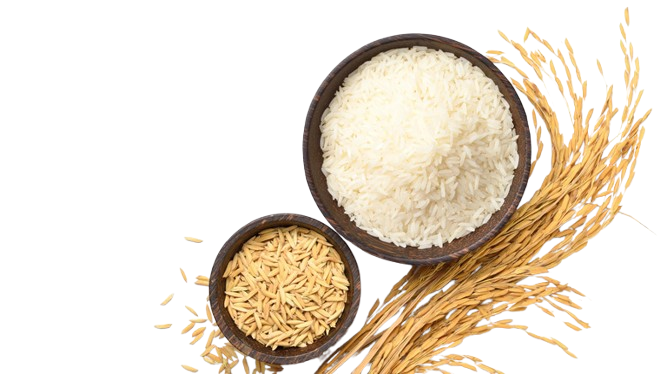 RICE & GRAINS
