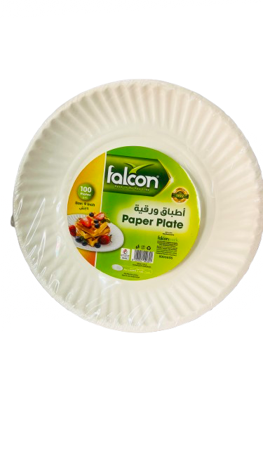 PAPER PLATE