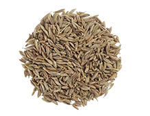 Cumin